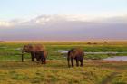 Mighty Kilimanjaro Marangu Rt.
